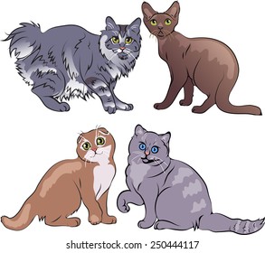 vector collection of cats 