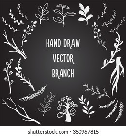 Vector Collection of Chalkboard Style Hand Drawn branch