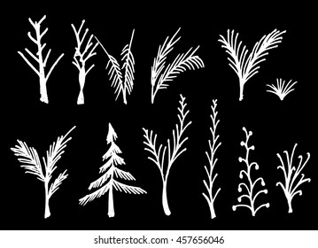 Vector Collection of Chalkboard Style Tree 