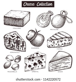 Vector collection of cheese sketches. Hand drawn food illustrations on white background. Vintage ingredients set. 