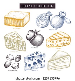 Vector collection of cheese sketches. Hand drawn food illustrations on white background. Vintage ingredients. Dairy milk products set.