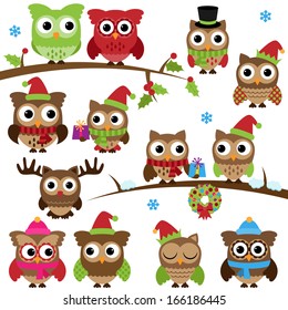 Vector Collection of Christmas Holiday Themed Owls and Branches