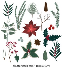 Vector collection of Christmas plants. Hand drawn set of winter festive flowers, branches, twig, berries, pines and other greenery isolated on white background. Stylish flat elements for your 
design.