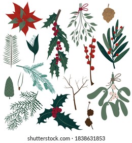 Vector collection of Christmas plants. Hand drawn set of winter festive flowers, branches, twig, berries, pines and other greenery isolated on white background. Stylish flat elements for your 
design.