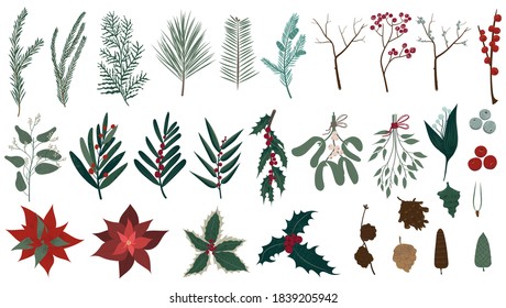 Vector collection of Christmas plants. Hand drawn set of winter festive flowers, branches, twig, berries, pines and other greenery isolated on white background. Stylish flat elements for your 
design.