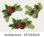 Vector collection of Christmas tree branches with pine cones and mistletoe