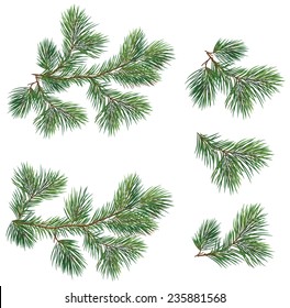 960,837 Fir tree branch Images, Stock Photos & Vectors | Shutterstock