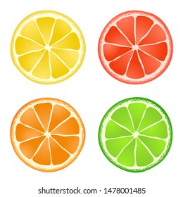 vector collection of citrus slices on white background