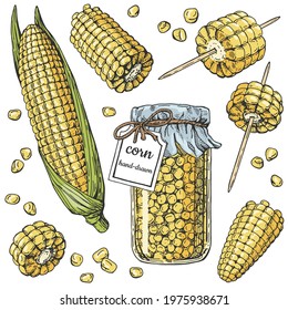 Vector collection color of fruits and corn grains. Hand-drawn sketches vintage engraving style. Canned vegetables in glass jar. Isolated objects on a white background. For menu design, packaging
