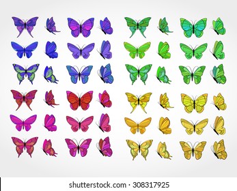 Vector collection of colored butterflies