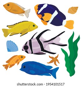 Vector collection of colorful exotic fish. A set of tropical fish isolated on a white background.