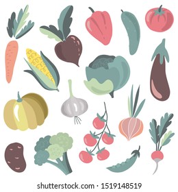 Vector collection of colorful fresh cartoon organic vegetables isolated on white background. Can be used for magazine, book, poster, card, menu cover, market design, web pages.