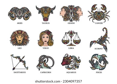 Colección vectorial de ilustraciones coloreadas de signos zodiacales dibujados a mano