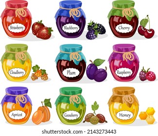 Vector collection of colorful jars.Honey, confiture and jam in glass jars in berries vector illustration.