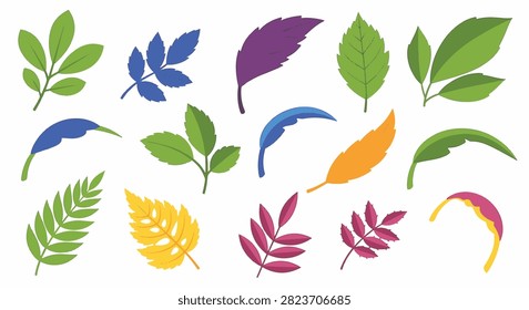 Vector collection of colorful leaf and stipule variations featuring different botanical shapes, sizes, and vibrant colors isolated on a white background for nature-themed design.