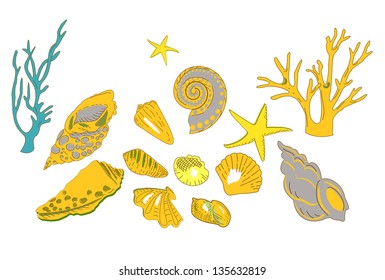 Vector Collection of colorful Sea Shells , Stars and Coral
