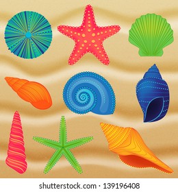 Vector Collection of Colorful Shells