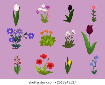 Coleção vetorial de flores coloridas da primavera com folhas verdes.  Desenhos de flores realicric. Camomila, tulipas. Ilustrações vetoriais de plantas à base de plantas isoladas sobre fundo colorido