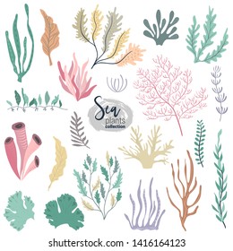 Vector collection of colorful underwater ocean coral reef plants, corals and anemones. Aquatic and aquarium seaweeds, tropical marine algae, sea wildlife