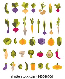 Vector collection with colorful vegetables potatoes, avocado, artichoke, sweet potato and others. Set of 37 illustrations for vegan, gardener, restaurant, greengrocer, print.