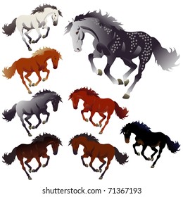 Vector collection colors of horses