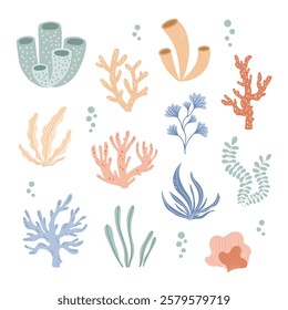 Vector collection of coral, seaweed, and underwater plants in a soft and colorful design. Perfect for ocean-themed projects, tropical illustrations, and marine crafts.