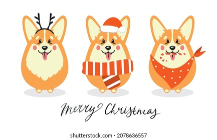 Vector collection of corgi dogs with deer antlers in Santa Claus hat, scarf, shawl