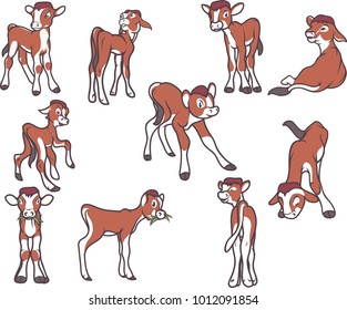 vector collection cow cute