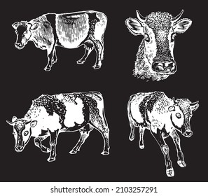 	
Vector collection of cows on black, cattle farm animal, graphical milky cow elements	