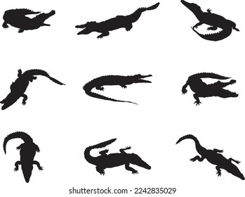 A vector collection of crocodiles