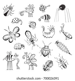 Big Hand Drawn Doodle Set Insects Stock Vector (Royalty Free) 1097009030