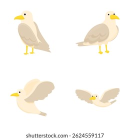 Vector collection of cute cartoon seagulls standing, flying, and posed, isolated on white