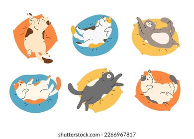 Colección de vectores con lindos gatos sobre la almohada. Gatitos adorables durmiendo en un acogedor cojín de mascotas. Ilustración gráfica plana de color aislada en fondo blanco.