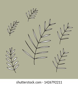 vector collection of cute doodle flowers, herbs, grass and branches, drawn in black outlines,isolated on natural background, spring graphic texture of meadow, wedding or birthday card  illustration