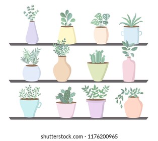 Vector collection of cute flower pots with house plants on a shelf. Valentine's day, anniversary, autumn fest, Thanksgiving, baby shower, birthday
