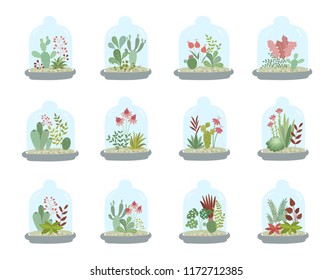 Vector collection of cute house plants under glass. Gardening under the dome. Valentine's day, anniversary, save the date, baby shower, birthday
