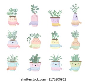 Vector collection of cute house plants in flower pots with scarf. Valentine's day, anniversary, autumn fest, Thanksgiving, baby shower, birthday
