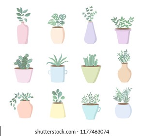 Vector collection of cute house plants in flower pots. Valentine's day, anniversary, autumn fest, Thanksgiving, baby shower, birthday
