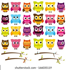 Vector Collection of Cute Owls and Seasonal Branches