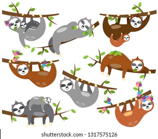 Vector Collection of Cute Sloths in Different Positions and with Babies