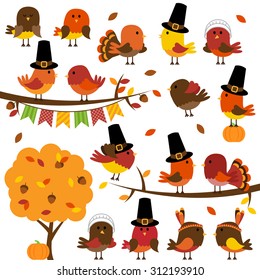 Vector Collection of Cute Thanksgiving and Autumn Birds