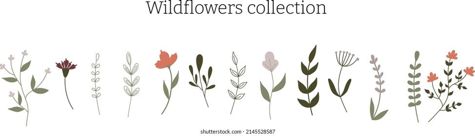 Vector collection of cute wildflowers and twigs with leaves. Flowers on an isolated white background. Floral elements for decor and invitations