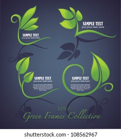 vector collection of decorative green leaves and frames
