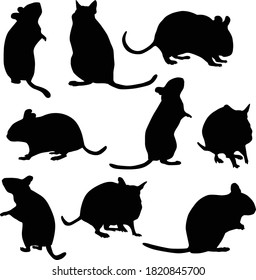 Vector collection of Degu silhouettes. Black icons of mouse in different poses.