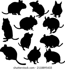 Vector collection of Degu silhouettes. Black icons of chilean squirrel in different poses.