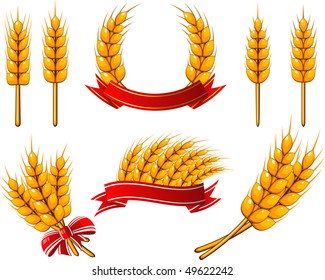 Vector collection of design elements. Wheat.