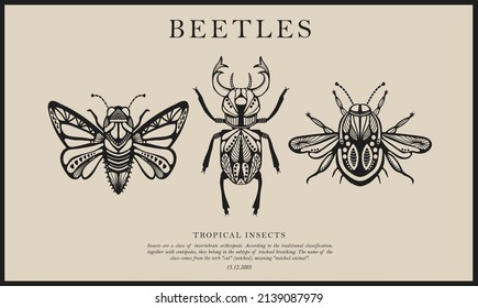 Vector collection of detailed sketches of insects with patterns. Hand drawing beetles. Set of entomological drawings. Beetle outlines for print, banner, poster, tattoo, card design.