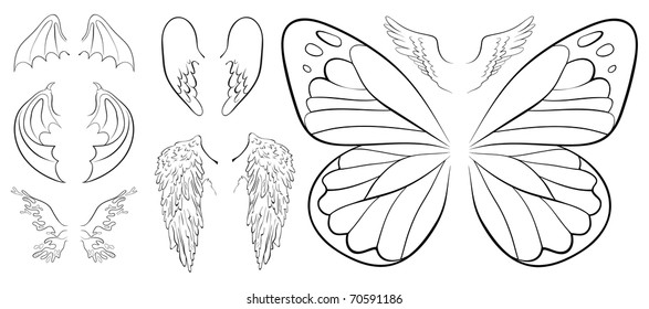 Vector collection of the different contour wings