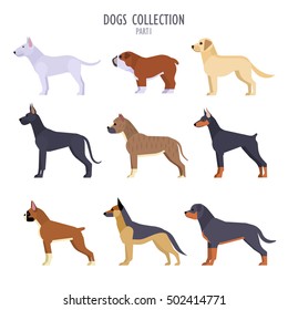 Vector collection of  different dogs breeds - bull terrier, English bulldog, Labrador, Boxer, German Shepherd Dog, Staffordshire Terrier, Great Dane, Rottweiler, Doberman Pinscher, isolated on white.