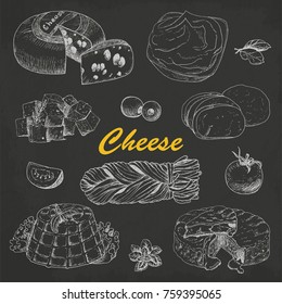 Vector collection of different kinds of cheese. Vector illustration for your design